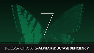 Biology of DSDs 7 5alpha reductase deficiency [upl. by Lenuahs]