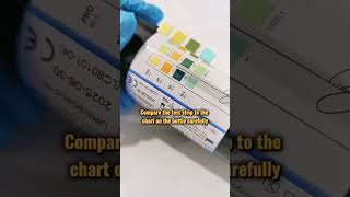 Urine Reagent Strips urinalysis urine cls mls laboratory urinedipstick clinicalmicroscopy [upl. by Eartnoed]