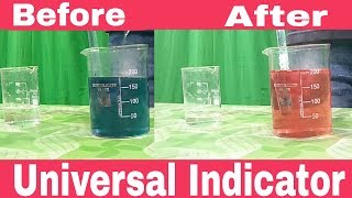 Universal Indicator The best way to test pH of a SolutionExperiment by Anand Mohan [upl. by Sufur]