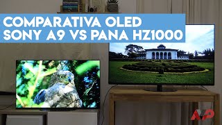 Comparativa Sony A9A8 vs Panasonic HZ1000 OLED Side vs Side [upl. by Melquist]