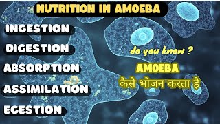 NUTRITION IN AMOEBA  LIFE PROCESSES [upl. by Gaul]