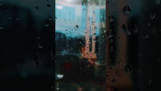 Mansoon Rain🌧️ Ninade nenapu hassan mansoon rain kanndasongs [upl. by Hayikat]