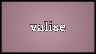 Valise Meaning [upl. by Eetnod]