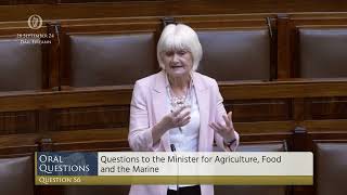 Deputy Marian Harkin speech from 26 Sep 2024 [upl. by Ellecram]