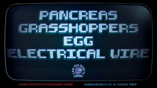 Can You Dont  Pancreas Grasshoppers Egg Electrical Wire [upl. by Trip673]