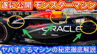 RB20の秘密を徹底解説 驚異のマシンコンセプト F1 2024 プレシーズンテスト [upl. by Eelymmij]