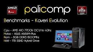 Palicomp Kaveri Evolution System Performance [upl. by Alset620]