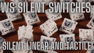 Silent Tactile and Silent Linear Switches Are Silent Switches Still Worth It Full Review on Vega65 [upl. by Furie]