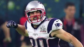 Danny Amendola Patriots Highlights [upl. by Mis]