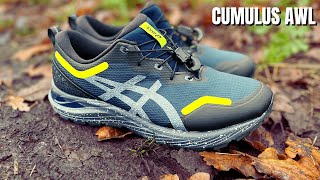 Asics Gel Cumulus 23 AWL Review  Best Winter Running Shoe [upl. by Cindelyn]