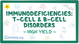 Immunodeficiencies Tcell and Bcell disorders Pathology review [upl. by Ressay567]