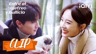 Si Qing y Jing Chen juegan con cachorros  Entre el ajetreo y bullicio Capítulo 14  iQIYI Spanish [upl. by Hannasus696]