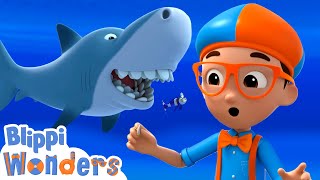 Blippis Ocean Shark Adventure  Blippi Wonders  Educational Cartoons for Kids [upl. by Byran]