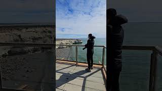 Guía para visitar Puerto Madryn  Vlog 14 🇦🇷 argentina puertomadryn vlog vlogvideo patagonia [upl. by Ihtak]