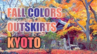 Autumn leaves in the outskirts of Kyoto city Shojiji temple amp Oharano shrine Nishikyo ward [upl. by Roid]