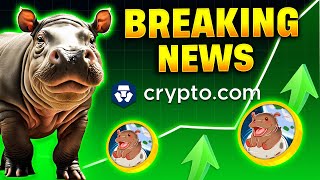 Moo Deng Breaking News  CryptoCom Is The Beginning Of What To Come [upl. by Adriene427]