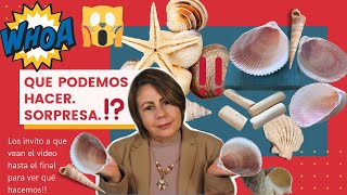 DIY Con conchas y caracoles manualidad que no debes perderte [upl. by Perusse975]