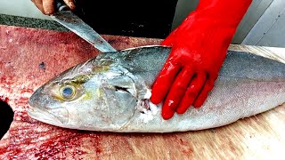 How to Fillet a FishAmberjack An Easy ExpertBacked Guide [upl. by Iam855]