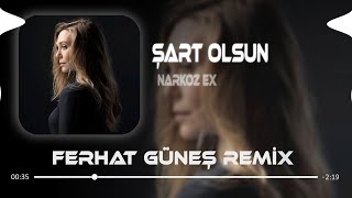 Helali Hoş Değil Bu Gönlüm  Ferhat Güneş Remix  Narkoz Ex  Şart Olsun [upl. by Brelje]