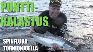 Spinfluga  Lohenkalastus  Punttikalastus  Matkakoski  Tornionjoki  Eumer Fishing [upl. by Atikin]