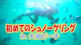 初めてのシュノーケリング＆初魚へ餌やり。 in 大泊ビーチ Okinawa snorkelling [upl. by Lerat]