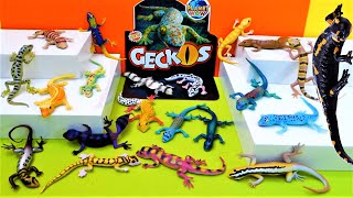 GECKOS 20 INCREIBLES GEKKO Unboxing [upl. by Nospmis]