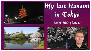 MY LAST HANAMI IN TOKYO over 100 photo  Omotenashi Anime [upl. by Kata69]