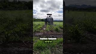 Buenas tardes 🤠🌿 campo agriculture rancho milpa johndeere [upl. by Rekab715]