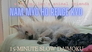 Nam Myo Ho Renge Kyo  15minute Slow Daimoku Chanting with Animals [upl. by Adeehsar]