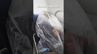 Passenger gets DIARRHEA all over plane [upl. by Tynan]