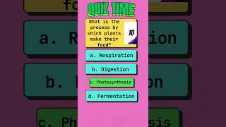 quiz quiztime quizgames study quizzes quizchallenge quizquestions quiztest quiztests [upl. by Ichabod507]