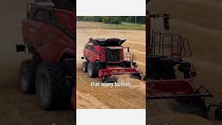 This Case IH Tractor Helps Farmers Get More Out of Their Combine shorts [upl. by Anahtor287]