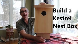 Build an American Kestrel Nest Box  Feb 11 2021 [upl. by Hogan]