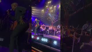 Young Stunna performs “Adiwele” at Kabza De Smalls Red Bull Symphonic Orchestra [upl. by Hseham]