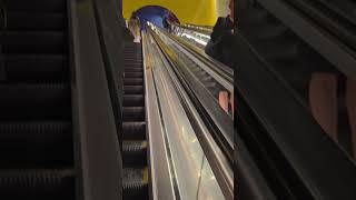 Newly opened Gadigal Sydney Metro station travel sydney australia train new wow amazing [upl. by Odanref]