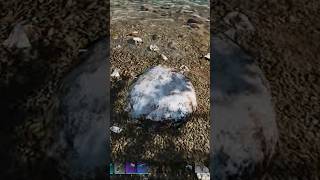 Silizium Perlen auf The Island farmen ark asa arksurvivalevolved arksurvivalascended playark [upl. by Alletse154]