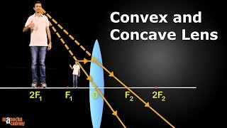 Convex and Concave Lenses [upl. by Luther150]