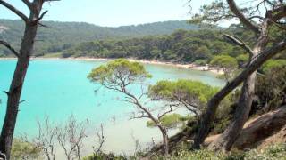 Isola di Porquerolles  Arcipelago delle Isole di Hyères  Francia [upl. by Murray776]