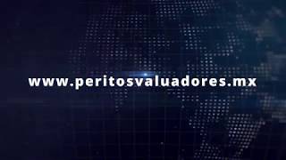 Peritos Valuadores  ¿QUÉ ES UN PERITO VALUADOR [upl. by Nolie665]