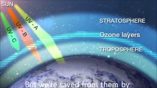 Electromagnetic Spectrum Science Song [upl. by Cristie]