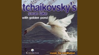 Hungarian Dance  Ungarischer Tanz  Schwanensee PI Tchaikovsky  Ballet Suite From Swan [upl. by Loomis]