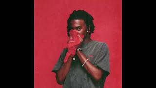 Playboi Carti  molly my bean unreleased [upl. by Erehc]