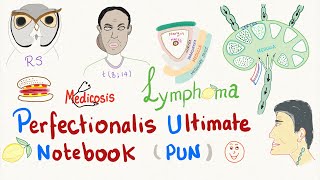 Perfectionalis Ultimate Notebook PUN Lymphomas [upl. by Chev]