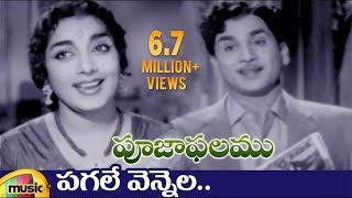 ANR Hits  Pooja Phalam Movie Songs  Pagale Vennela Video Song  Savitri  Jamuna  Mango Music [upl. by Dinse44]