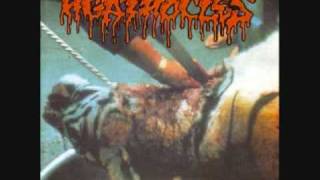 Agathocles  A for arrogance [upl. by Renny258]