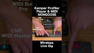 Simple Wireless Guitar Live Gig with Kemper Profiler Player and MIDI Mongoose kemper ケンパー [upl. by Hoisch475]