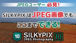 JPEGユーザー様必見！ 画像調整ソフト「SILKYPIX」はJPEG画像でもここまでできる！ [upl. by Tteraj]