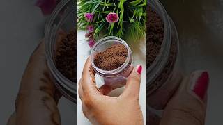 Instant Cocoa Powder  Cocoa Powder  How to make cocoa powder at home  Swarupas kitchen [upl. by Rechaba]