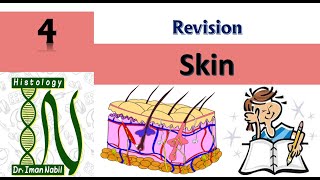 Skin revisionFirst year [upl. by Skiba]