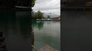 Morgen in der Schweiz thunersee switzerland reels швейцария европа serenity travel [upl. by Yer]